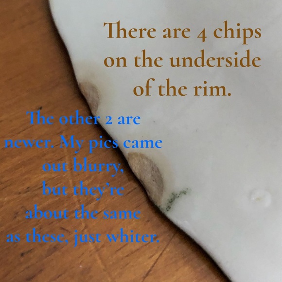 50’s Winter Landscape Pie Pan - Picture 9 of 15